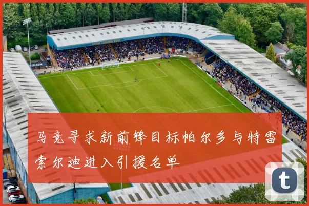 马竞寻求新前锋目标帕尔多与特雷索尔迪进入引援名单