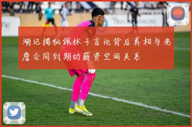 湖记揭秘佩林卡言论背后真相与老詹合同到期的薪资空间关系