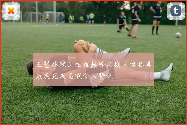 王哲林职业生涯巅峰之战马健称其表现完美无瑕令人赞叹