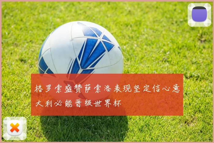 格罗索盛赞萨索洛表现坚定信心意大利必能晋级世界杯